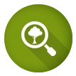Inspection icon