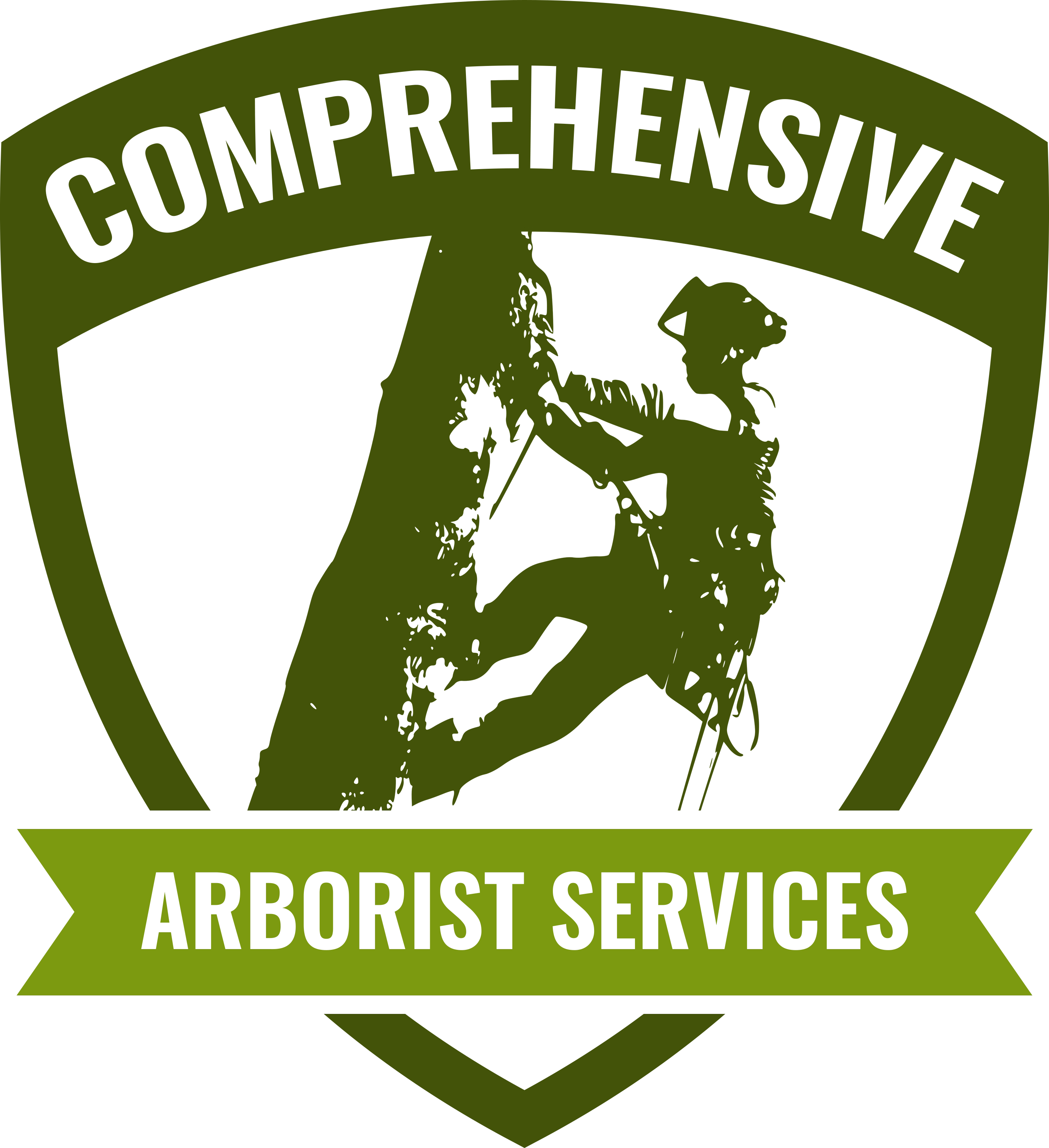 Comprehensive arborist services icon