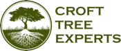 Branched Out Marketing Logo