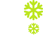 Winter tree services icon