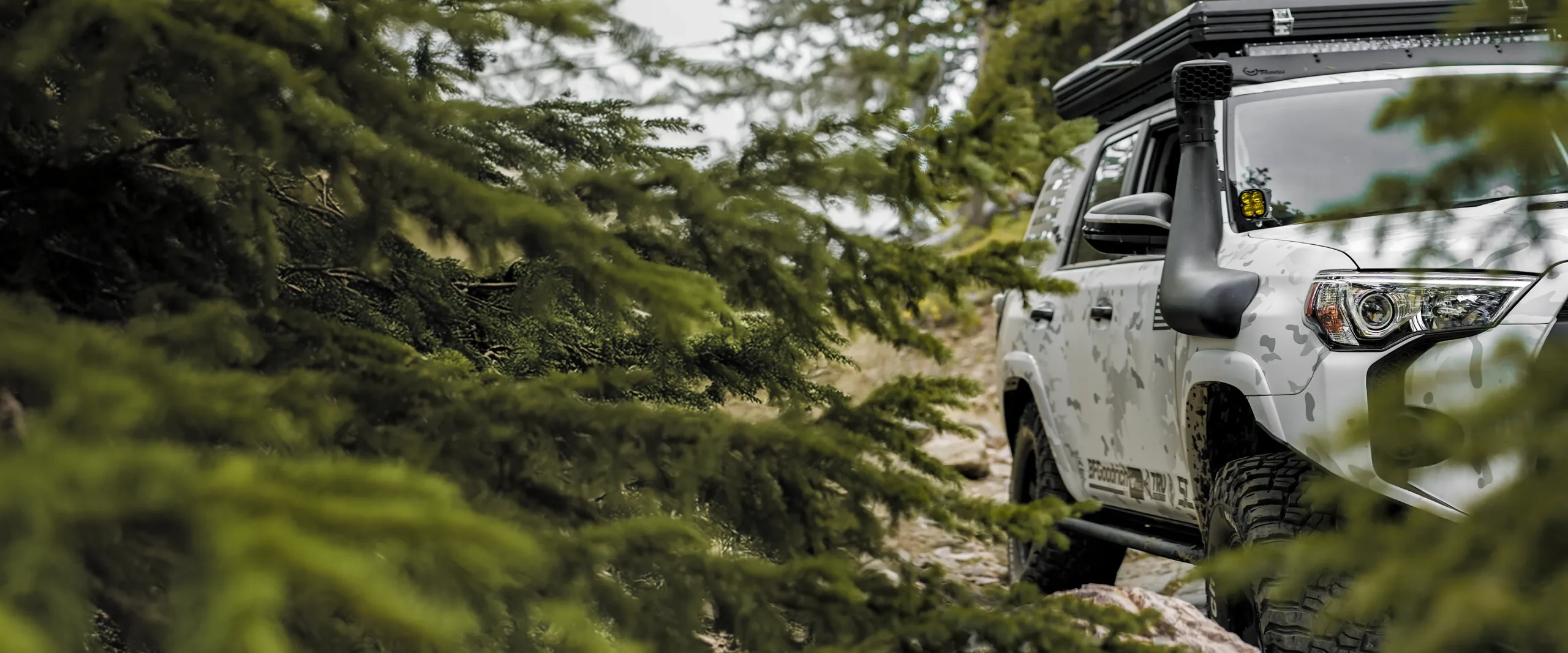 Multicam-alpine-4runner-forest