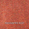 encounter_rust