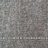 encounter_thunderous