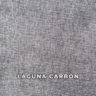 laguna_carbon