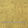 laguna_grass_roots