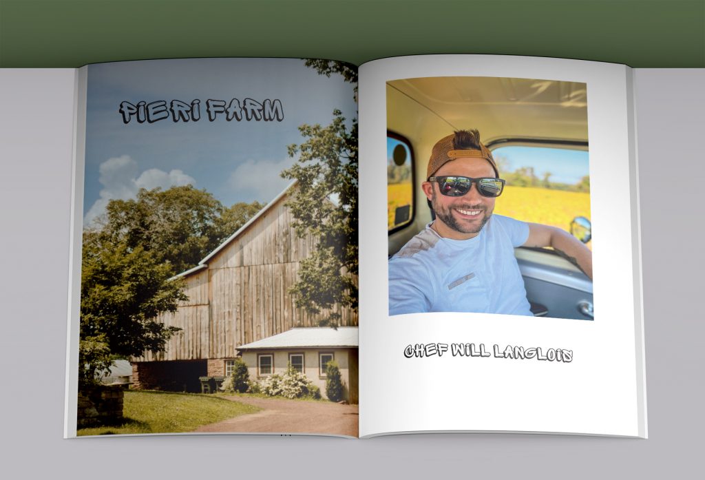 Field palette cookbook